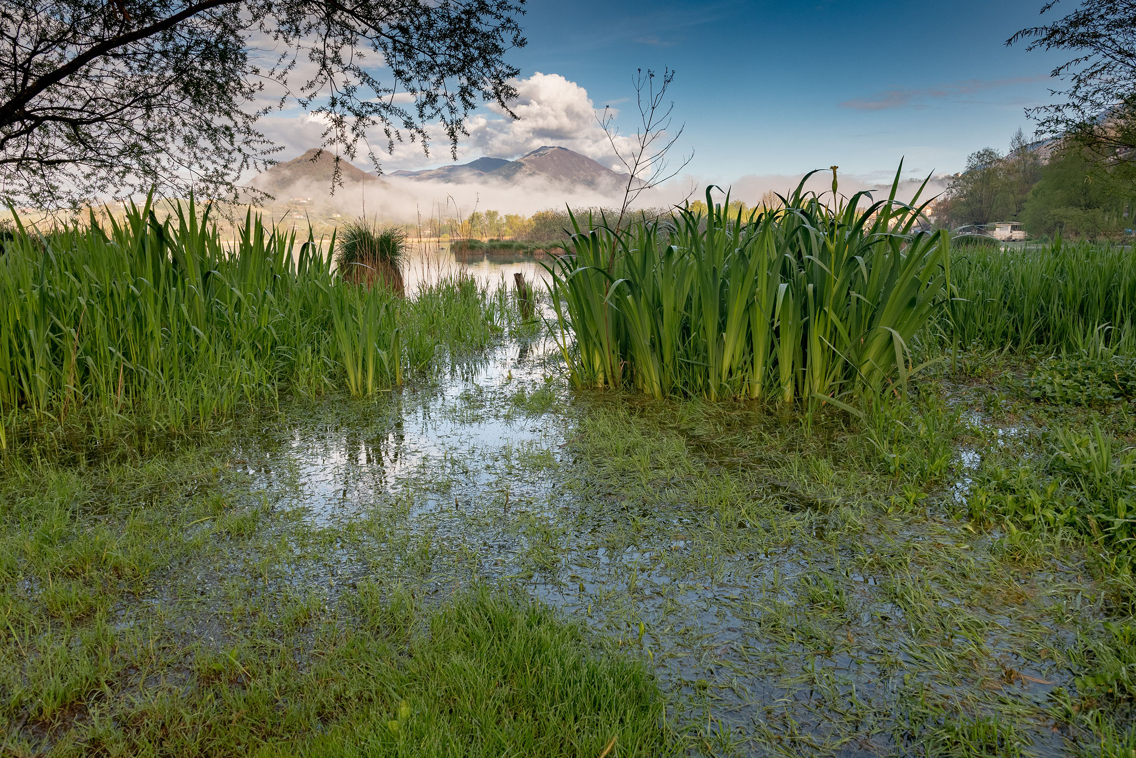 protect-and-restore-wetlands-52-climate-actions