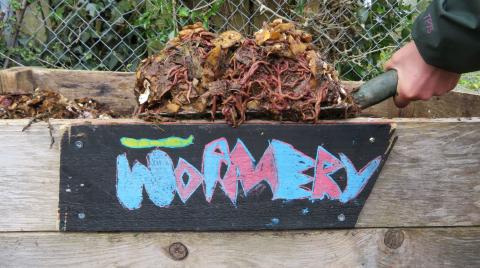 A gardener lifts a forkful of compost above a sign that says 'wormery'