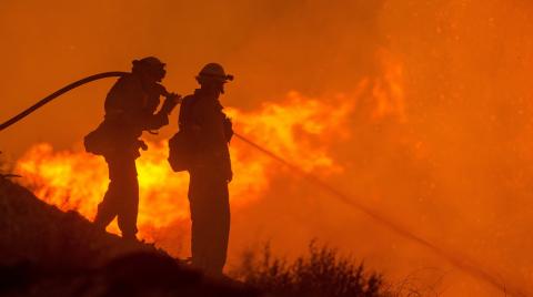 Firefighters use a hose to control a wildfire