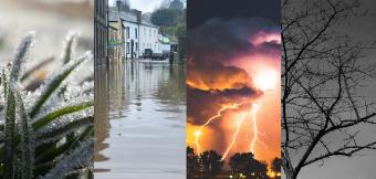 Image of Four Climates. First is frost on grass, second is a flooded high street, third is a thunder storm, and fourth is a tree during a drought
