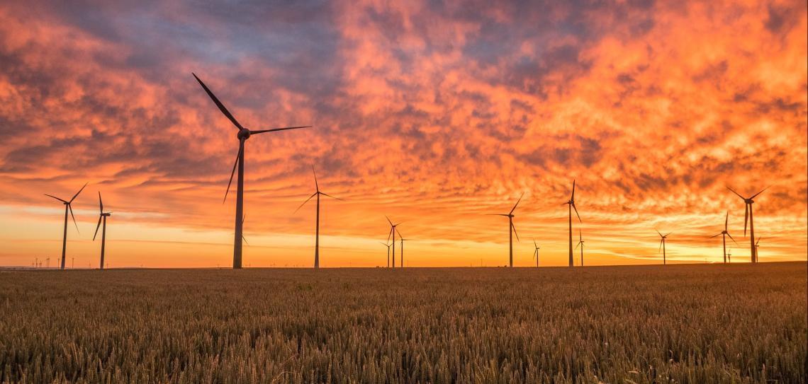 Wind Turbines in a wheat field at sunset