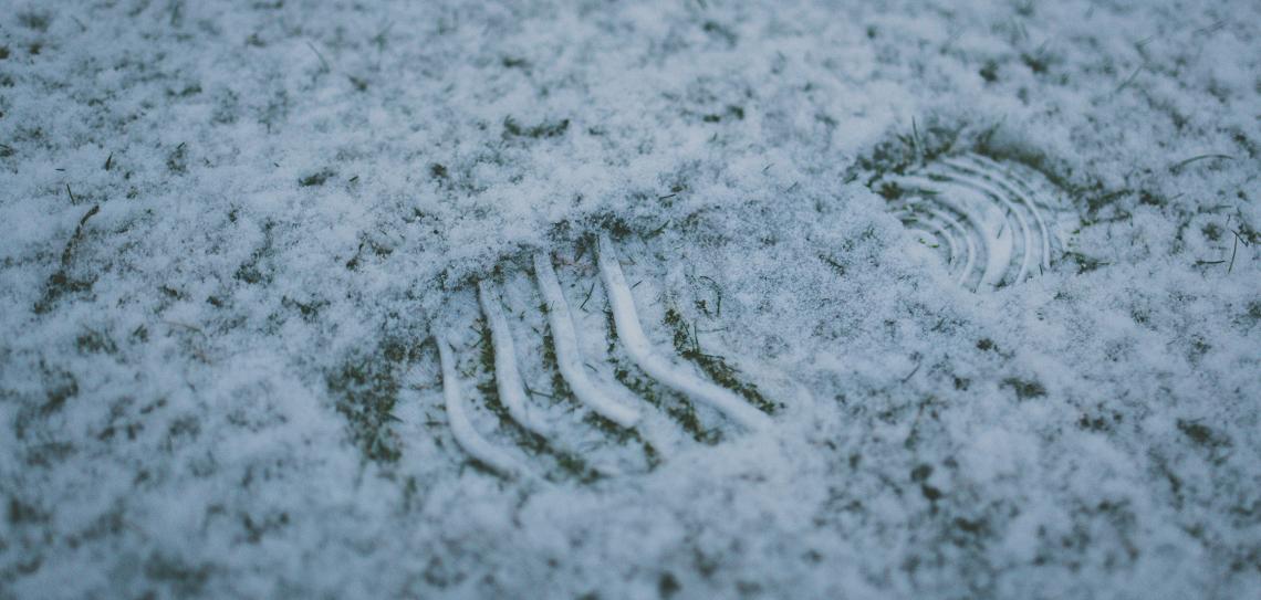 Shoe footprint in the snow on grass