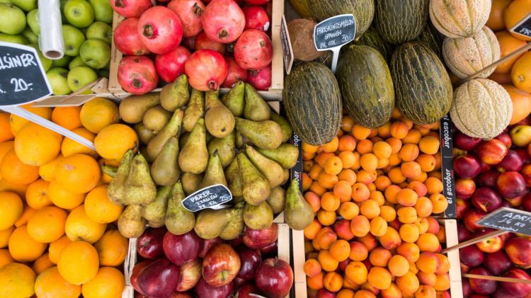 A variety of local produce in sections at a farmers market