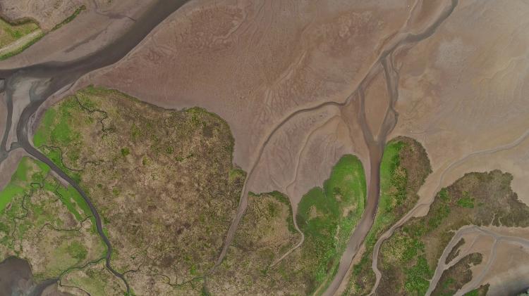 A drone shot of a marsh in a river estuary in the Discovery Bay.