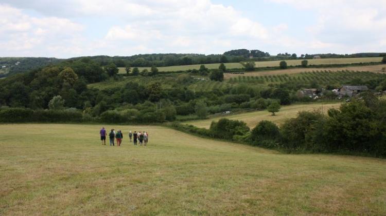 People walking in a field is farm and field lands in the background