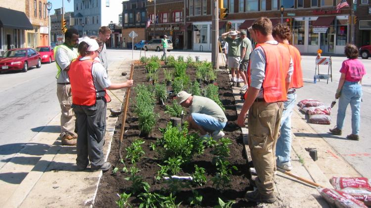 People planting plants in a town square