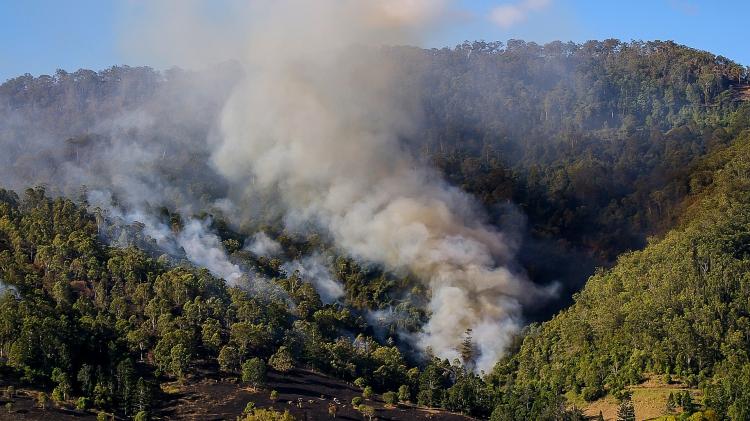 Smoke form a wildfire running up a forested slope